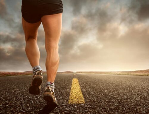 Gemeinsam für den guten Zweck – Unsere Teilnahme am Wings for Life World Run